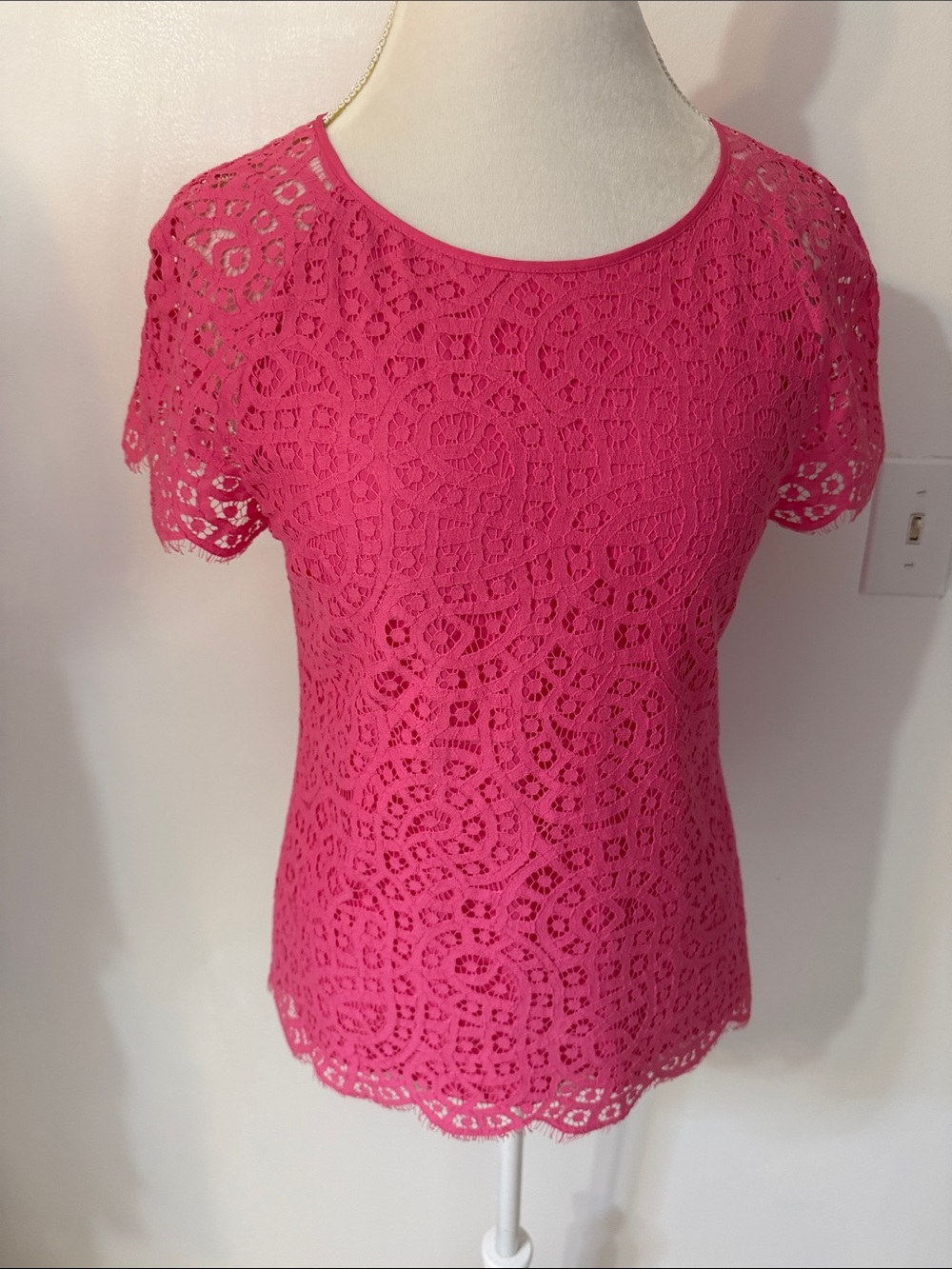 NWOT, J Crew Women's Pink Lace Short-Sleeve Top SZ 6